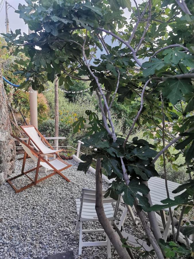 Casa Vacanze Lorenzo Villa Malfa  Dış mekan fotoğraf